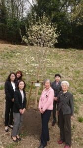 syokujyu2019.4.17